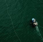 About to pull driftnet