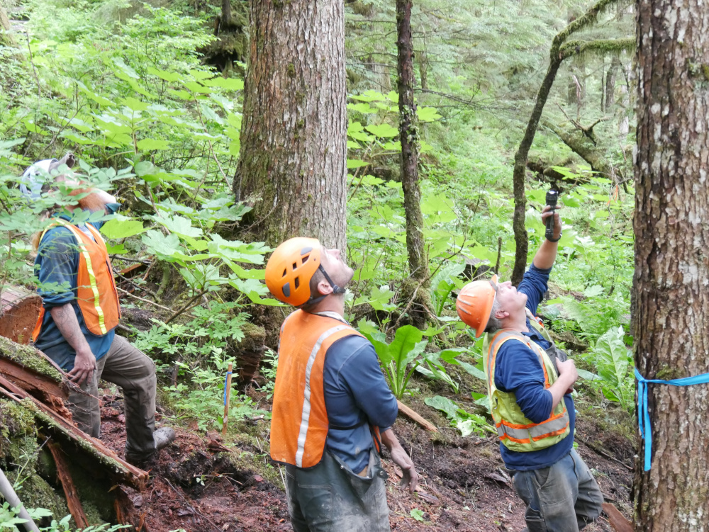 Raven Trail work crew making steady progress - KFSK